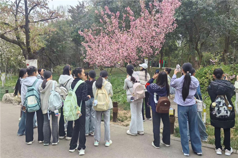 微信图片_202604011435541