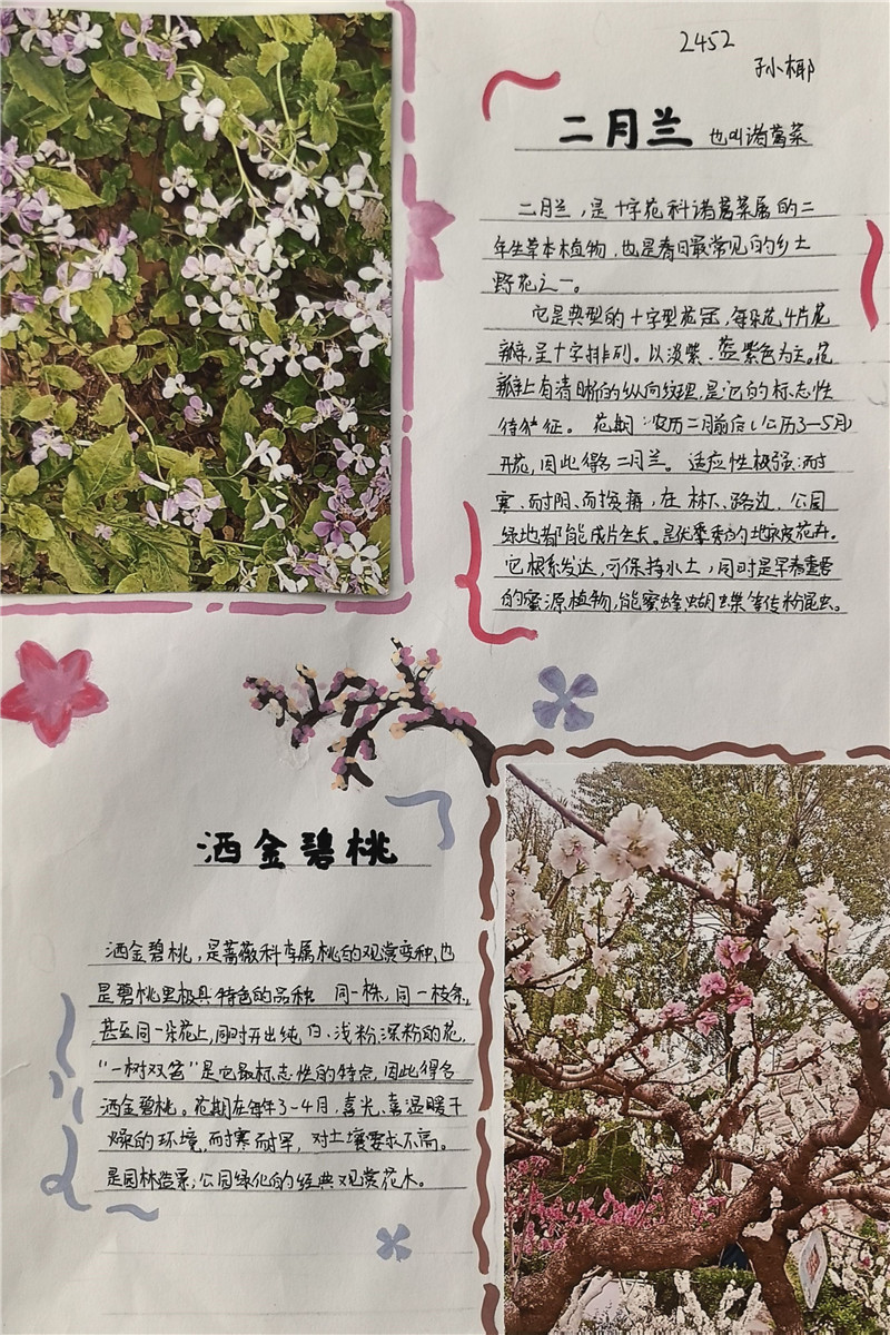 微信图片_20260423095500